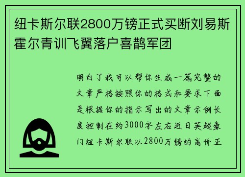 纽卡斯尔联2800万镑正式买断刘易斯霍尔青训飞翼落户喜鹊军团