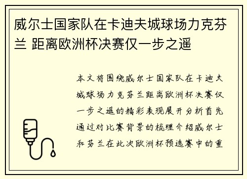 威尔士国家队在卡迪夫城球场力克芬兰 距离欧洲杯决赛仅一步之遥